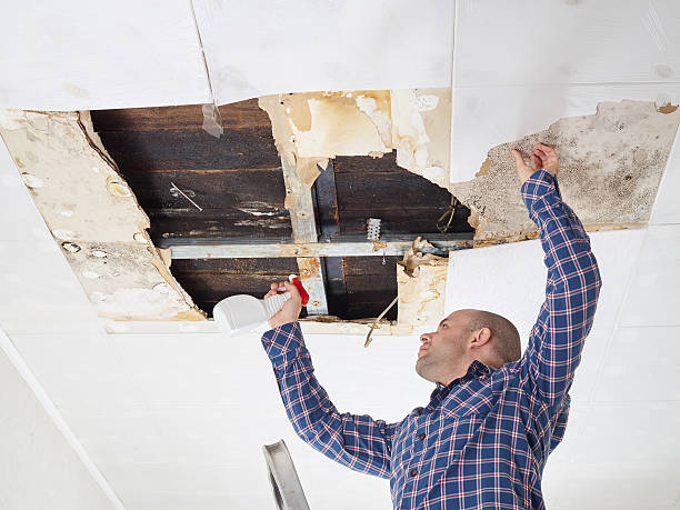 Best Mold Odor Removal Services  in Rochester, WI